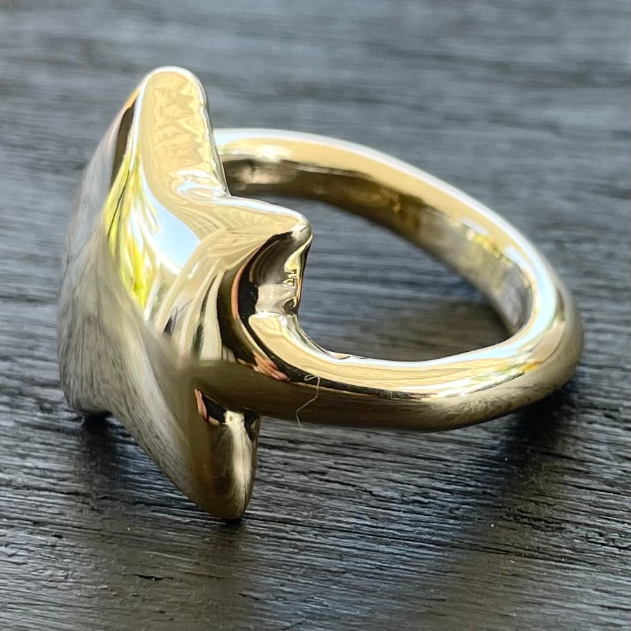 MY STAR IN SOLID BRONZE